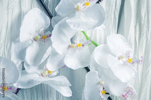 Dekoracja na wymiar  niezwykle-delikatna-biala-orchidea