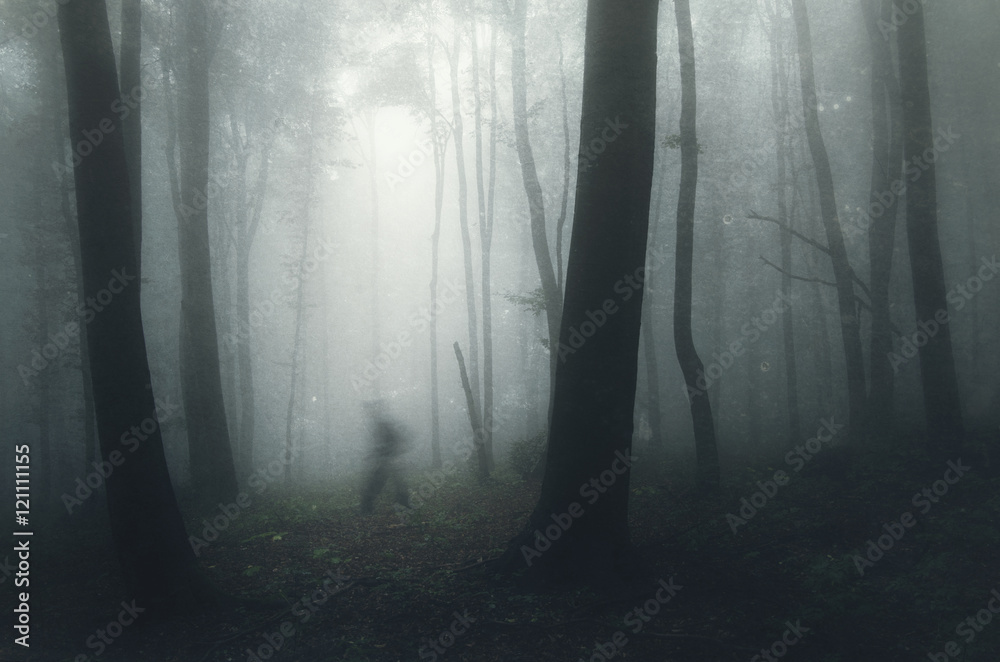 ghost in spooky haunted forest - obrazy, fototapety, plakaty 