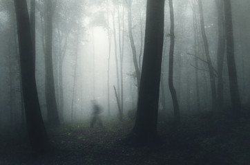 Wall Mural - ghost in spooky haunted forest