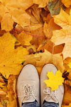 Feet On The Autumn Leaves