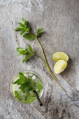 Wall Mural - Glass tank mojito and Ingredients for cocktails. Fresh mint, lim