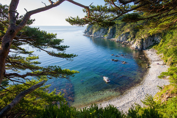 Wall Mural - Motorboat in a bay with pine tree