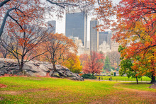 Central Park At Rainy Day, New York City, USA