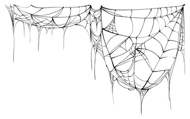 Wall Mural - spider web isolated on white background