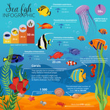 Fototapeta Pokój dzieciecy - Sea Life Animals Plants Infographic