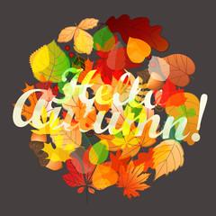Poster - Different color leaves vector circle composition