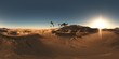 panorama of palms in desert at sunset. made with the one 360 deg
