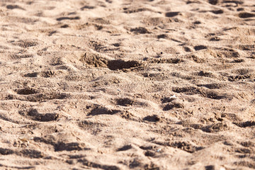 Sticker - the sand on the beach as background