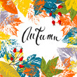 Leaves and rose hips, autumn background, vector illustration