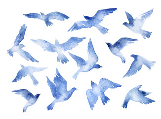 abstract flying bird set with watercolor texture isolated on white background.