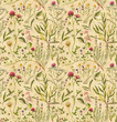 Vintage watercolor seamless botanical pattern with different plants. Repeated natural background on the old paper with meadow and medical plants: chamomile, trefoil, lavender, tea tree and other.