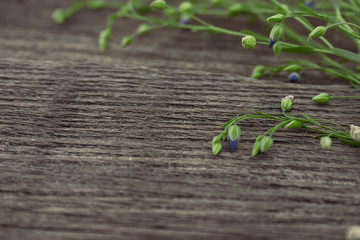 Wall Mural - Bouquet of wildflowers on rustic wooden background.