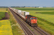 © Steve - Container train across green and yellow prairie