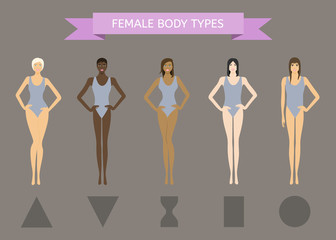 Set of Female Body Shape Types: Triangle, Inverted Triangle, Hourglass, Rectangle, Round