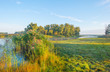 © Naj - Shore of a lake at sunrise in summer