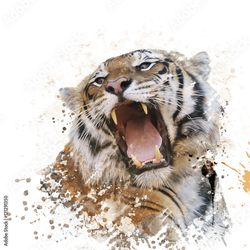 Plakat Akwarela portret tygrysa