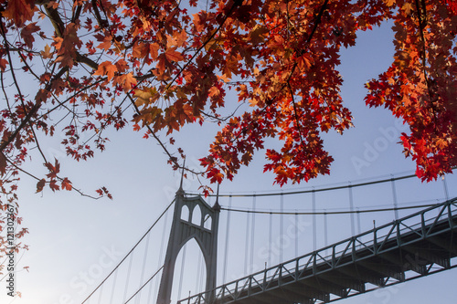 St. John's Bridge Framed by Trees