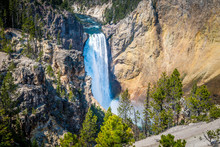 Lower Falls Of Yellowstone Canyon