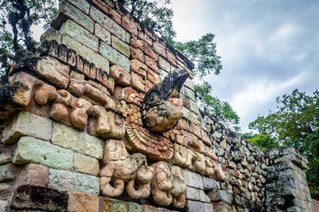 Wall Mural - Carved Macaw in the Ball Court of Mayan Ruins - Copan Archaeological Site, Honduras