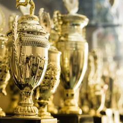 trophy awards