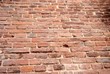 © Olena Ilienko - Angle view of brick wall background texture