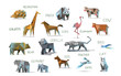 Vector set of different animals, polygonal icons, low poly illustration