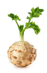 celery root isolated on white background