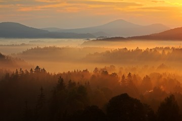 Wall Mural - Misty morning landscape. Morning landspace with fog. Sunrise in landscape. Sun during sunrise in czech national park Ceske Svycarsko. Beautiful landscape with forest and fog. Sunrise with fog and sun.