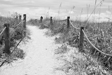 Sandy Pathway To Turtle Beach In Siesta Keys, Florida.