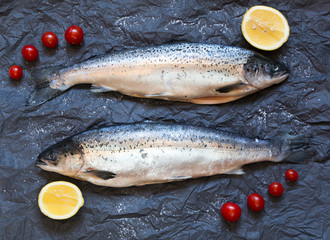 Wall Mural - Fresh uncooked fish on black background with tomatoes, lemon, to