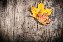Grunge Wooden Background With Two Yellow Leaves