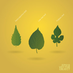 Wall Mural - green leaves