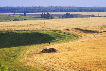 man goes far away in the scenic fields and meadows