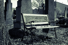 Bench In Cemetery