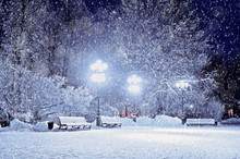 Winter Landscape- Winter Evening In The Night Snowy Park With Lonely Benches Under Winter Snowfall.