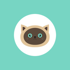 Wall Mural - Siamese cat head round circle icon in flat design style. Cute cartoon character. Happy sitting kitten with blue eyes. Baby background. Isolated.