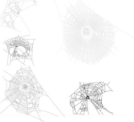 Wall Mural - five black isolated webs collection