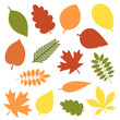 Autumn leaves flat design set. Green, red and orange fallen autumn leaf set. Maple, spruce, oak, rowan, birch and more tree leaves collection isolated on white background.