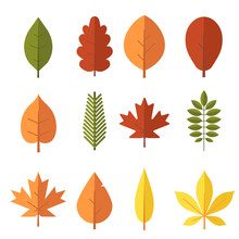 Autumn Leaf Flat Design Set. Green, Red And Orange Fallen Autumn Leaves Collection. Maple, Spruce, Oak, Rowan, Birch And More Vector Leaves Isolated On White Background.