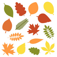 Wall Mural - Autumn leaves flat design set. Green, red and orange fallen autumn leaf set. Maple, spruce, oak, rowan, birch and more tree leaves collection isolated on white background.