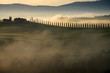 Silhouette landscape of Tuscany. Line of cypress tree, a typical Tuscan landscape, Italy. 