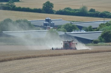 Combine and farm landscape