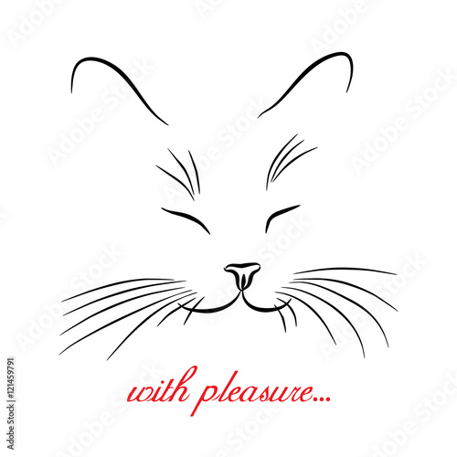 Fotografía Image of cat muzzle with long whiskers. Vector illustration.