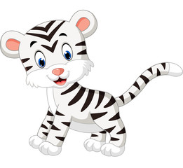 Poster - illustration of cute baby white tiger