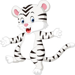 Sticker - illustration of cute baby white tiger