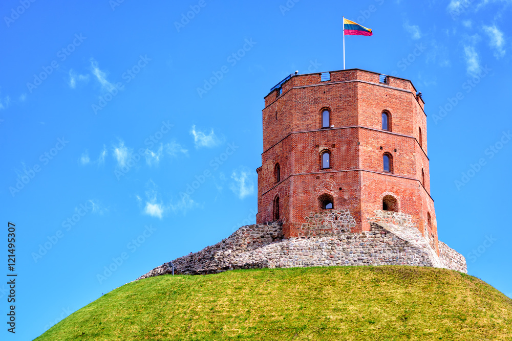 Obraz na płótnie Gediminas Tower, Vilnius, Lithuania w salonie