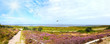 © Gabriele Rohde - Blüte der Heideflächen in der Cuxhavener Küstenheide, Panorama