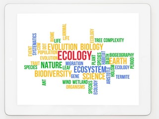 Sticker - Ecology