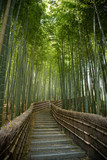 Fototapeta Sypialnia - 京都嵐山　念仏寺の竹林