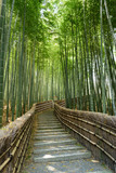 Fototapeta Dziecięca - 京都嵐山　念仏寺の竹林